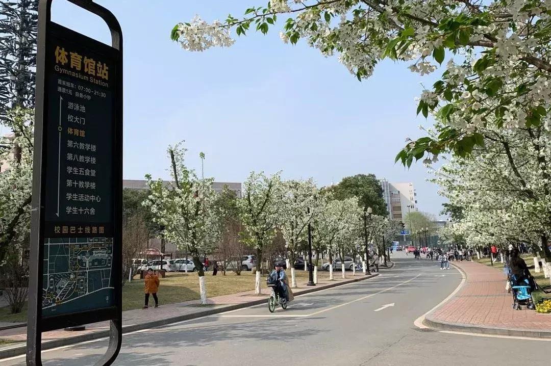 鲜橙攻略丨成都大学校园环境篇