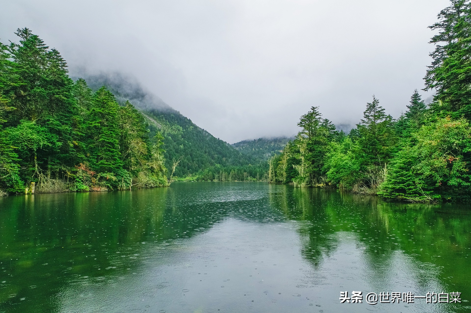 康定情歌川西旅游,318川西康定木格措