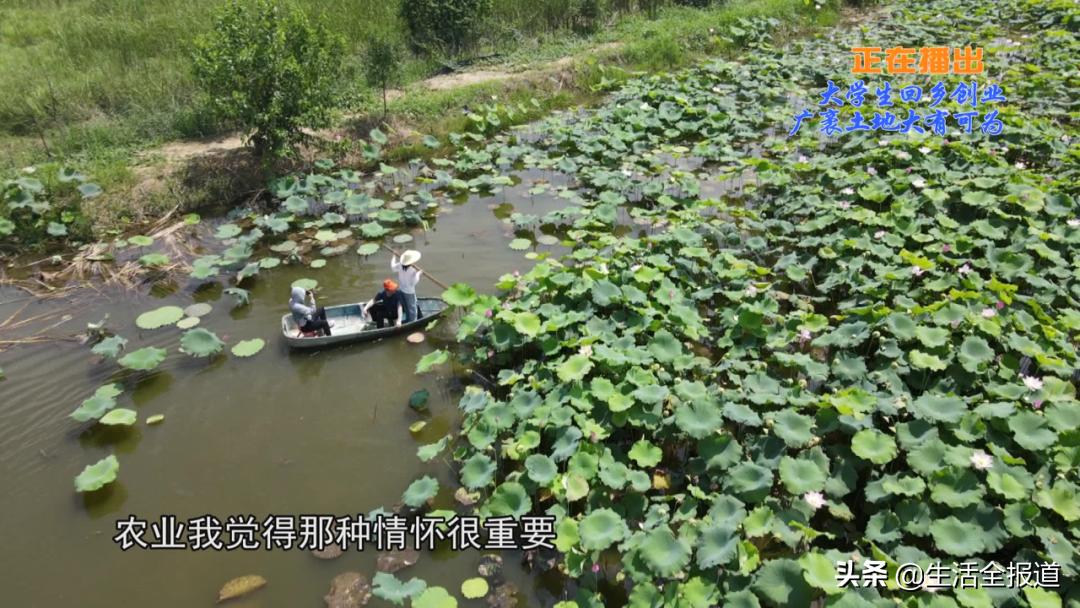 三农青年创业,返乡创业青年记录真实生活三农