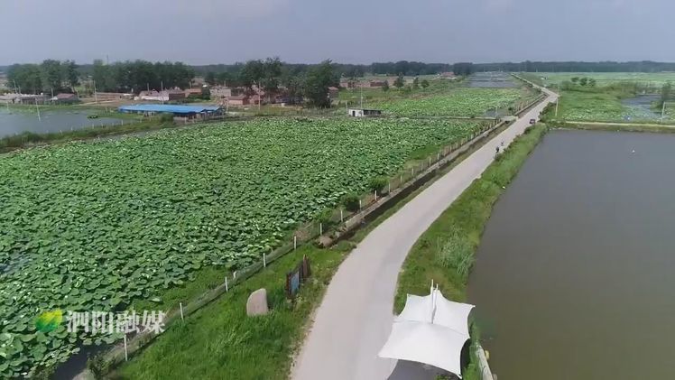 农业农村局民生实事项目,江苏宿迁泗阳农业农村局