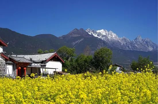 人间仙境的玉龙雪山,来感受一下美丽的玉龙雪山