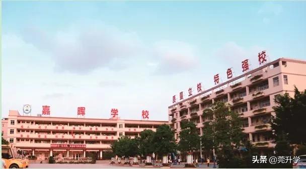 东莞市排名前十的民办中学,东莞中考民办招生分数最高学校