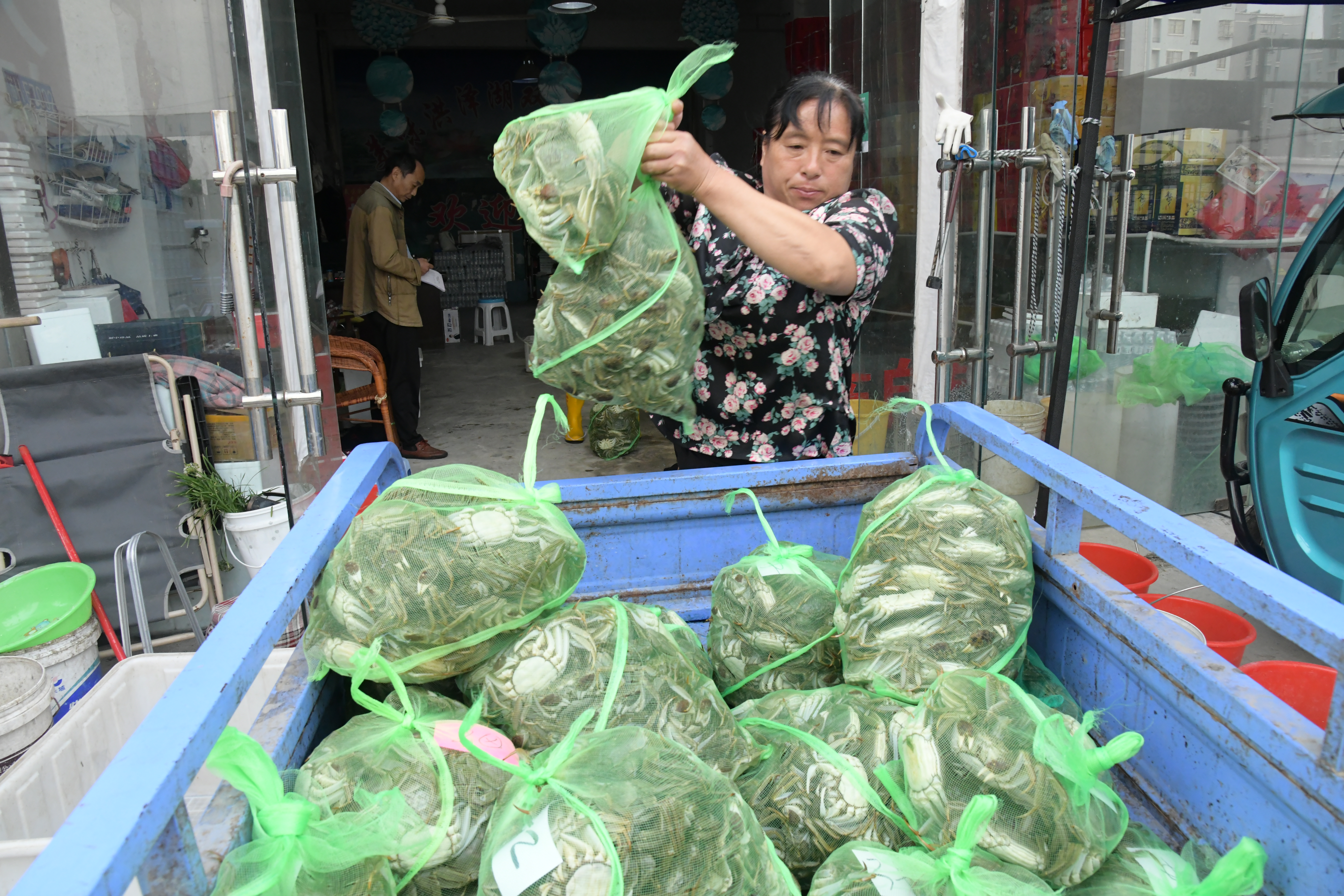 洪泽湖大闸蟹交易市场,洪泽湖大闸蟹批发价格最新行情