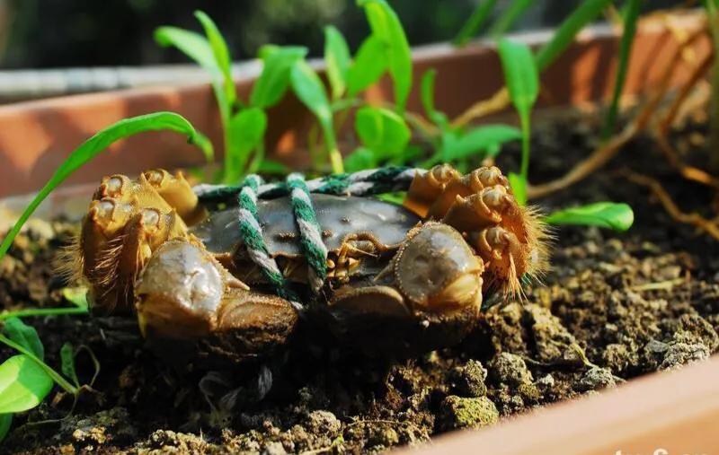 兴化的城市好冷,外地人评论兴化