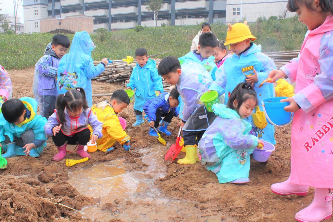 西安交大韩城学校幼儿园2022年,韩城西安交大幼儿园