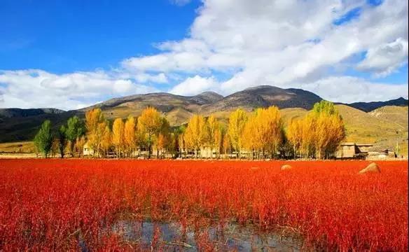 国庆旅游稻城亚丁自驾游最佳路线,国庆川西稻城亚丁风景区一日游