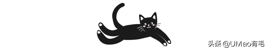 零食罐和主食罐吃哪个,主食罐零食罐