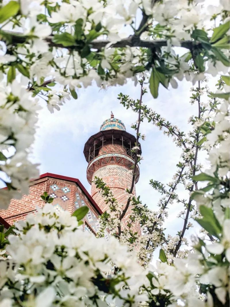 免签证国家与中国互免签证国家,免签国家一览表2021年对中国免签