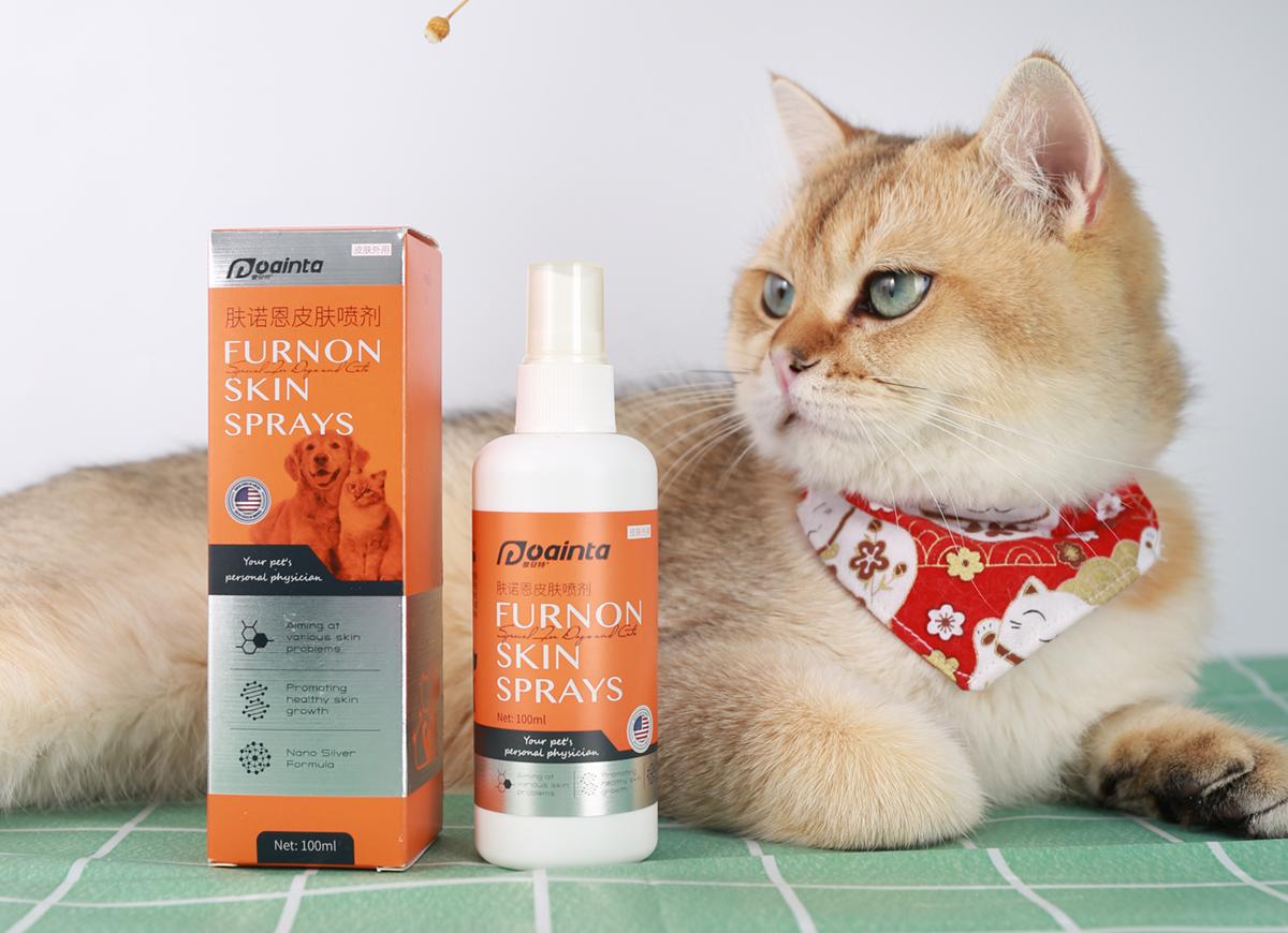 常见猫咪皮肤病,猫咪常见的皮肤病配图和名称