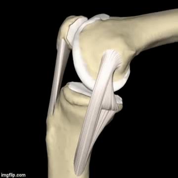 医院治髌骨软化症怎么样,专家教你快速治疗膝关节