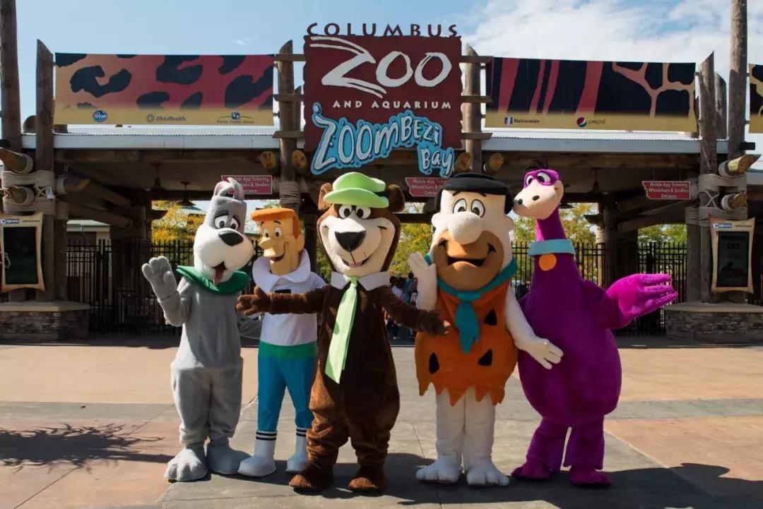 狗狗真是一种神奇的动物,狗狗是什么科的动物