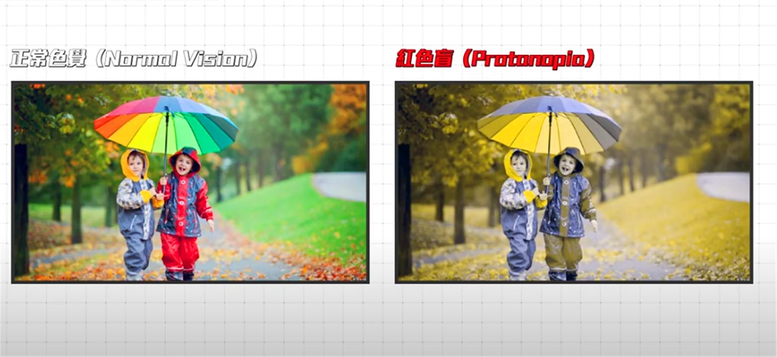 色盲与正常人眼中的世界的区别,色盲和普通人眼中的世界对比