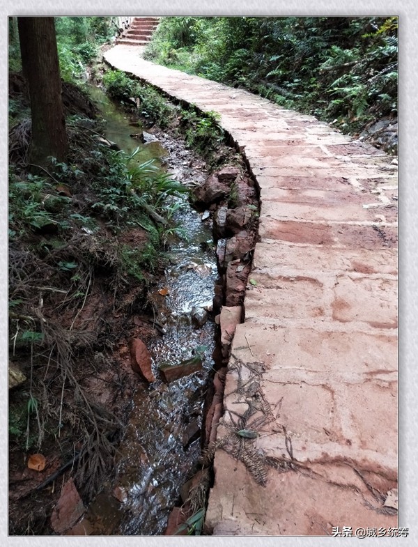 江津区中山镇石天井兄弟农家乐休闲避暑好去处