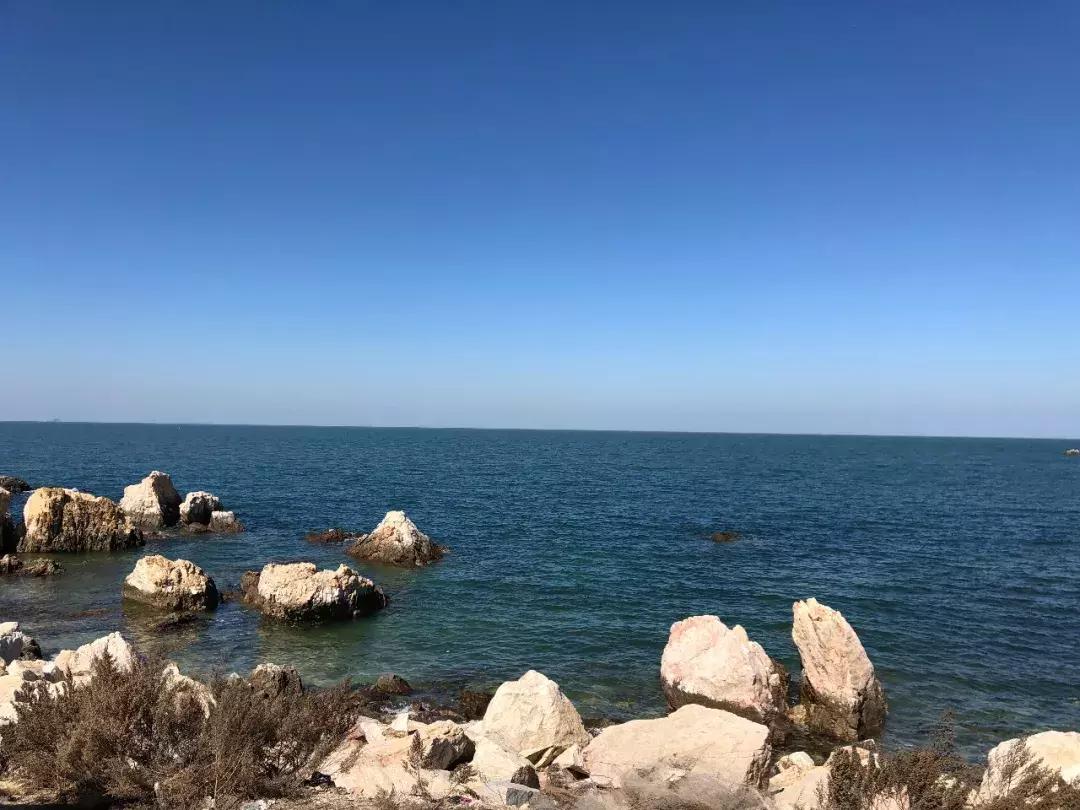 六月份适合山东自驾游的地方,六月山东省旅游推荐