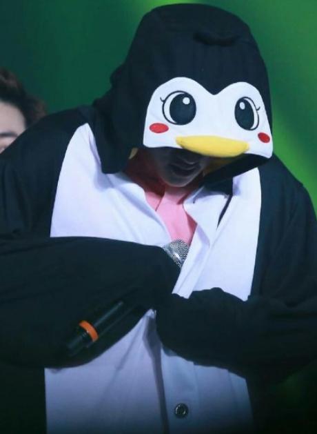 动物系内娱男爱豆,动物系爱豆完整版