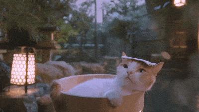 台山颐和温泉酒店私人泡池,台山颐和温泉酒店特价