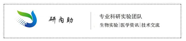 嗜碱性粒细胞0.08与肺结核有关吗,肺气肿与肺泡表面活性物质有关吗