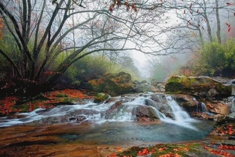 抓住秋天的尾巴走进冬天,抓住秋天的尾巴寻最后一抹金黄