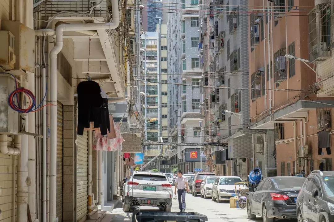 民治片区有未来吗,民治有什么特色