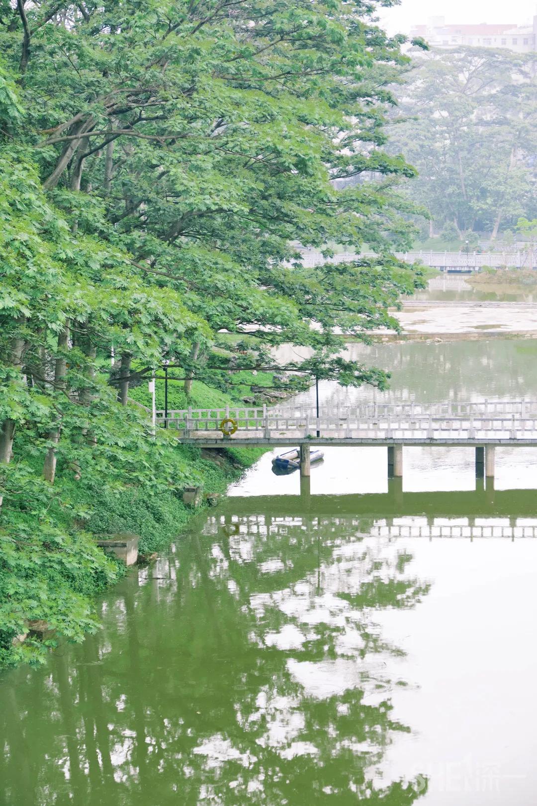 深圳八大绝美公园,山水公园深圳