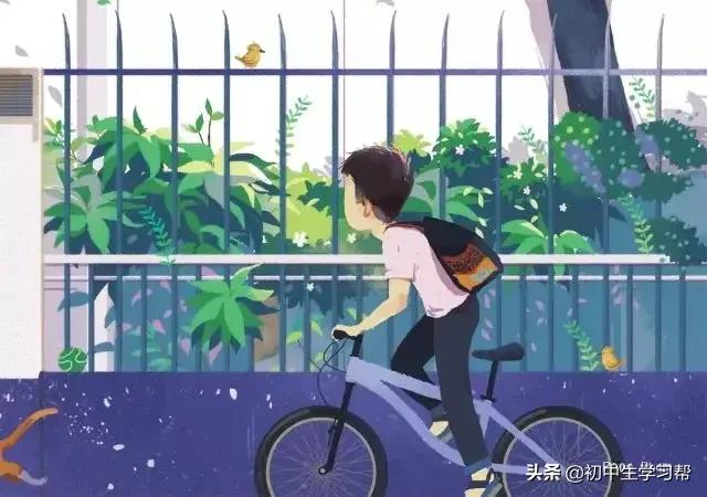 2021央视春晚语文知识归纳,2020央视春晚语文考点