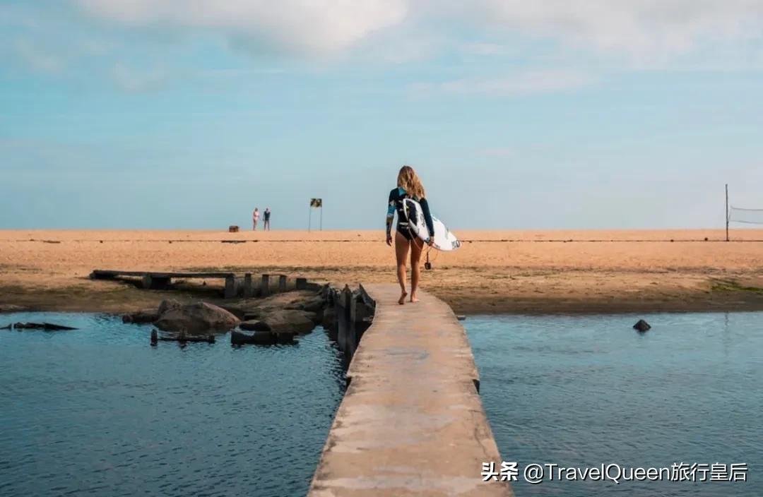 动物森友会无人岛一天可以去几次,动物森友会所有虫类图鉴