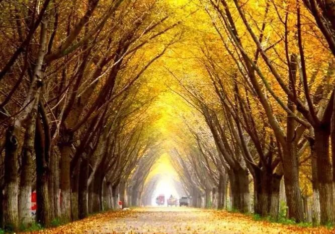 2019江苏最美跑步线路、最美乡村健身公园揭晓，徐州这些地方上榜