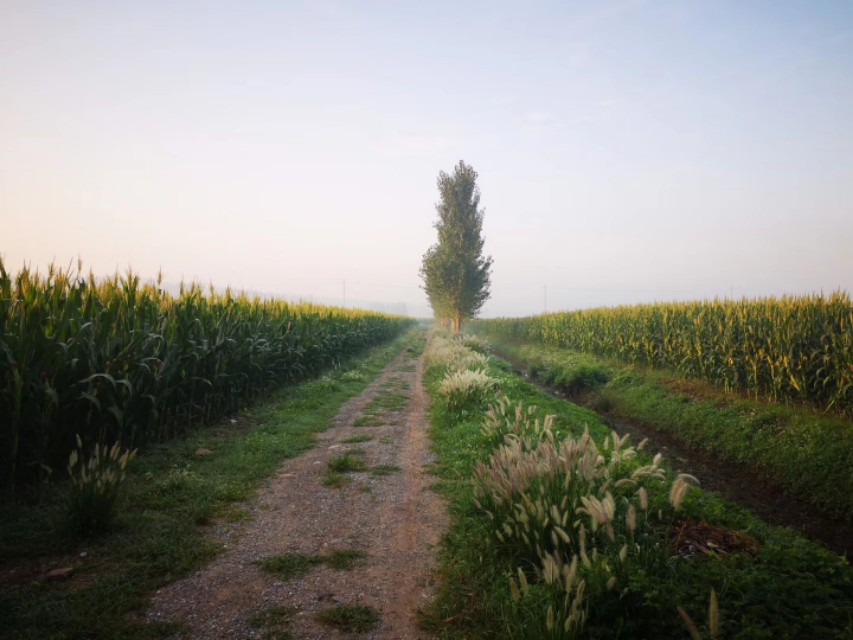 大学生创新创业对课程的期待,大学生创新创业教育答案