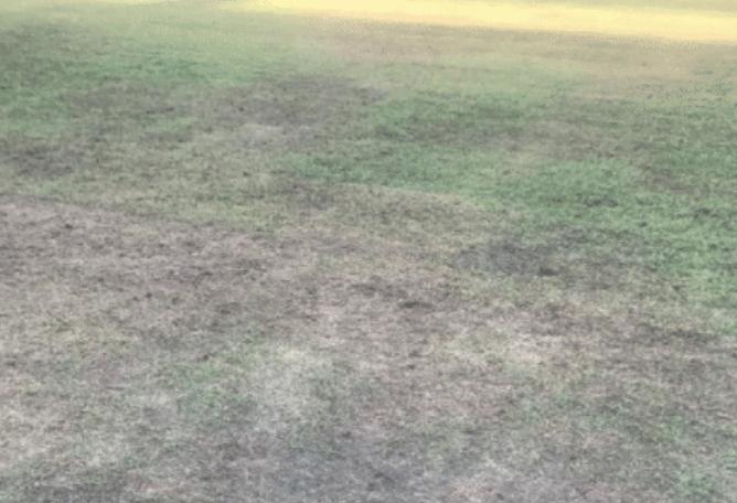 中国足球雷人囧事,中国足球乌龙事件