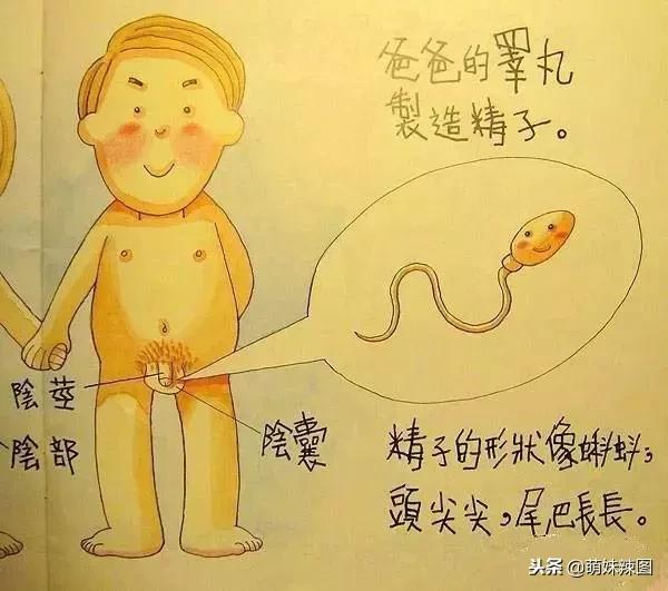 男生被踢有什么感觉,男孩子被踢是什么感觉