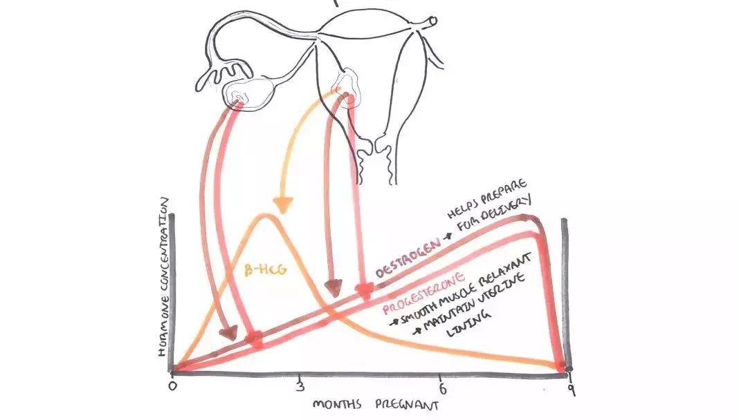 医学知识科普产后康复,开局不可言语最新章节在线阅读