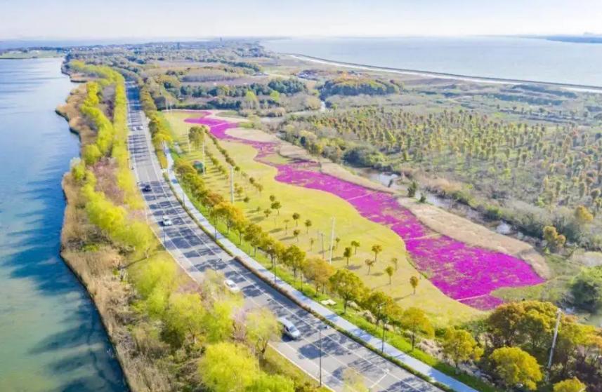 苏州自驾游一日游最佳免费路线,春节自驾游路线推荐苏州出发