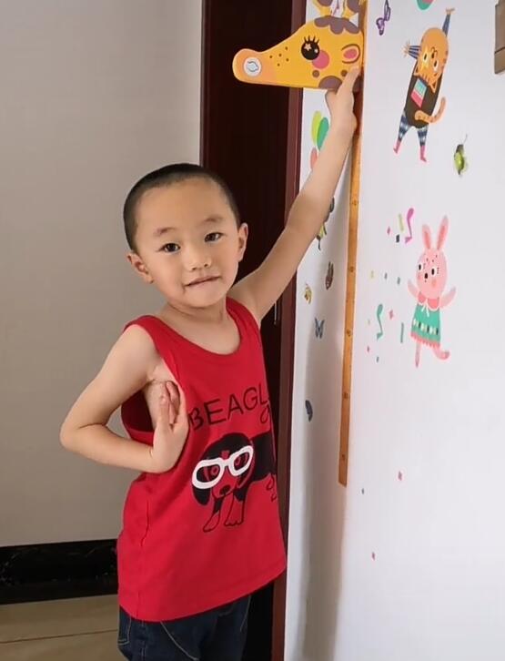 汪小菲个子有多高,汪小菲个子多高