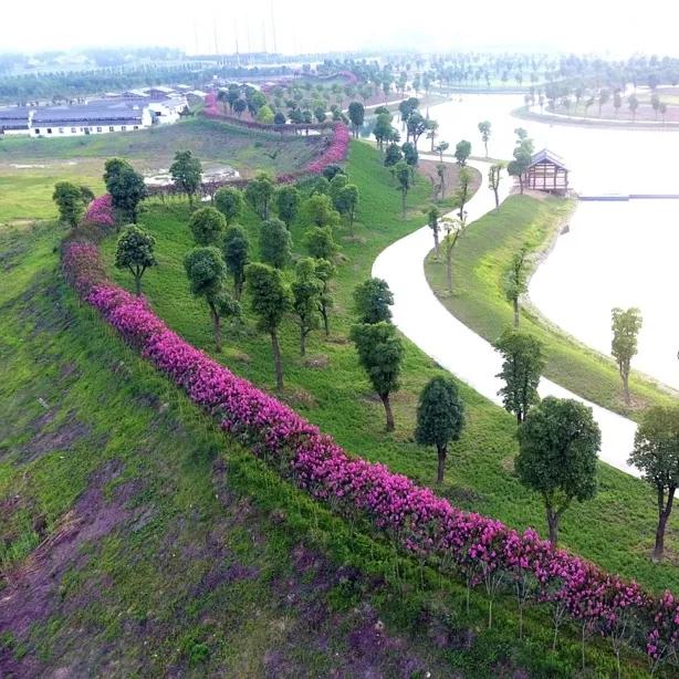 引爆文旅市场,蚌埠城南新建不夜城