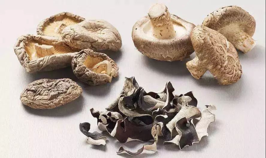 发霉的食物致癌？那怎样才能避免发霉