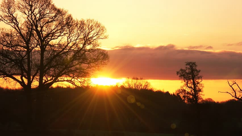 最美莫过夕阳孤树！要用相机定格震撼绝美，请使用这些技巧