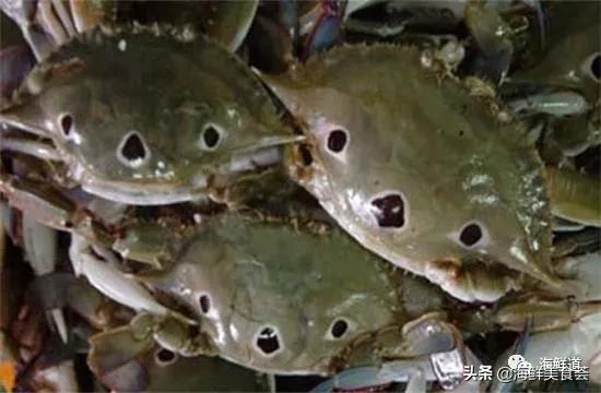 102种海鲜,营养丰富的海鲜有哪些品种