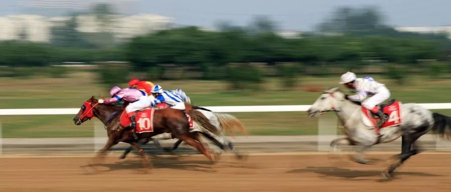 坤鹏论炒股养家,坤鹏论指标