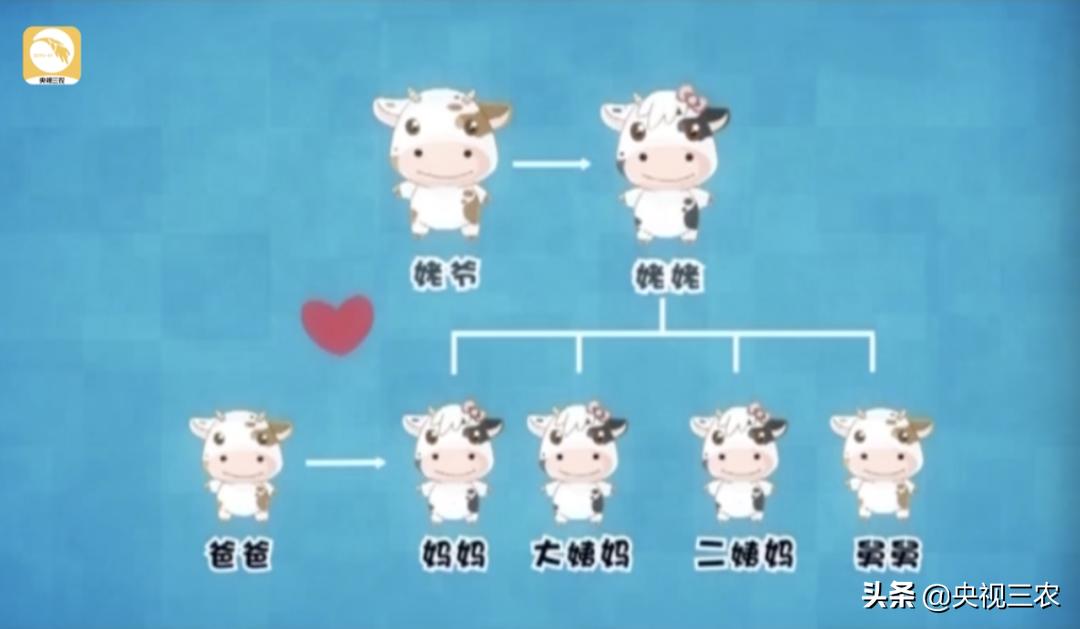 牛粪别扔，这么处理还有国家补贴