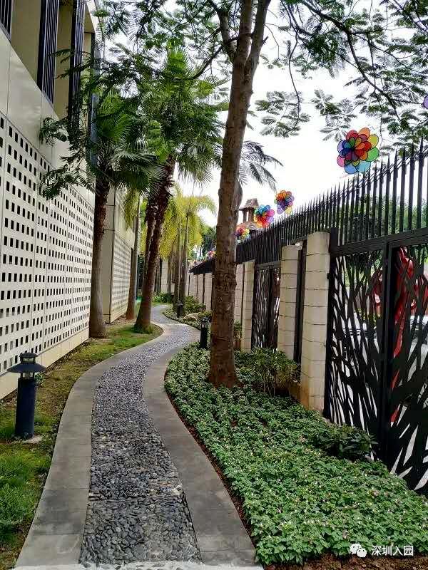 深圳按月收费幼儿园,深圳小小班幼儿园