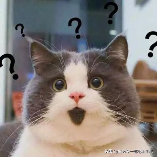 抖音神曲每日一首,最热抖音神曲