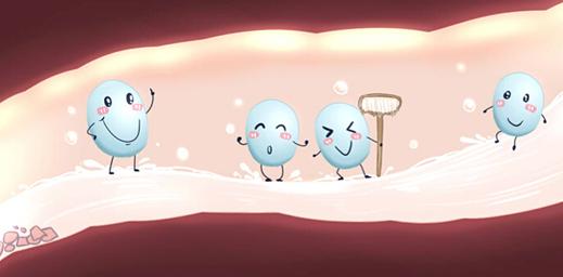 抗生素会杀死益生菌吗,抗生素会杀死植物吗