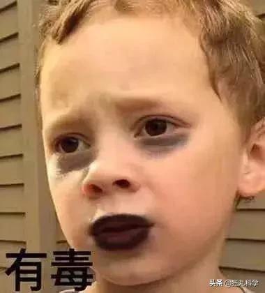 世上最毒的花园,最毒的花园有多可怕