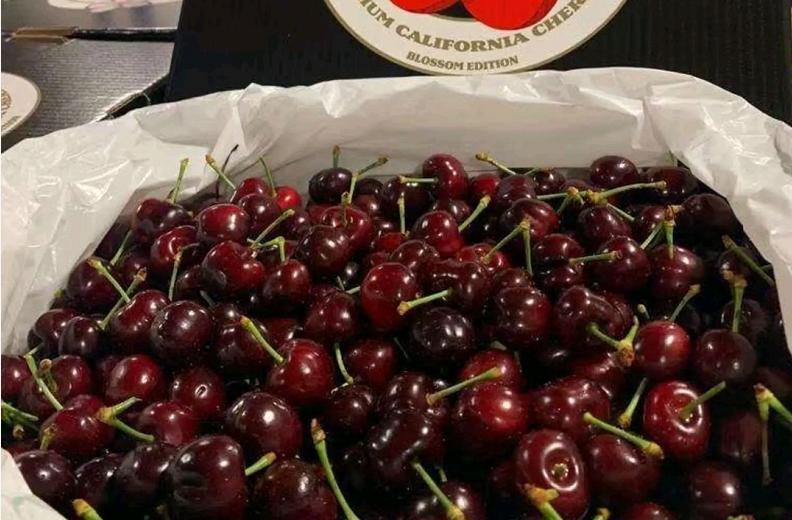 外国水果运到中国,澳洲水果出口中国