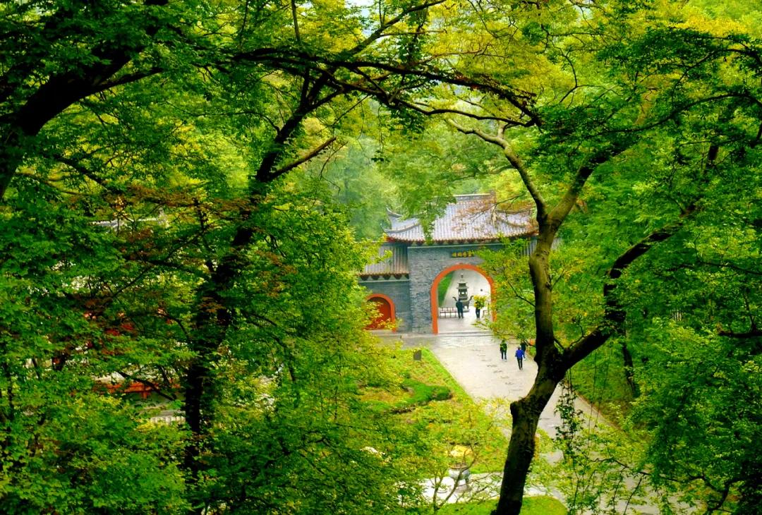 去滁州琅琊山旅游攻略,滁州白鹭岛一日游详细攻略