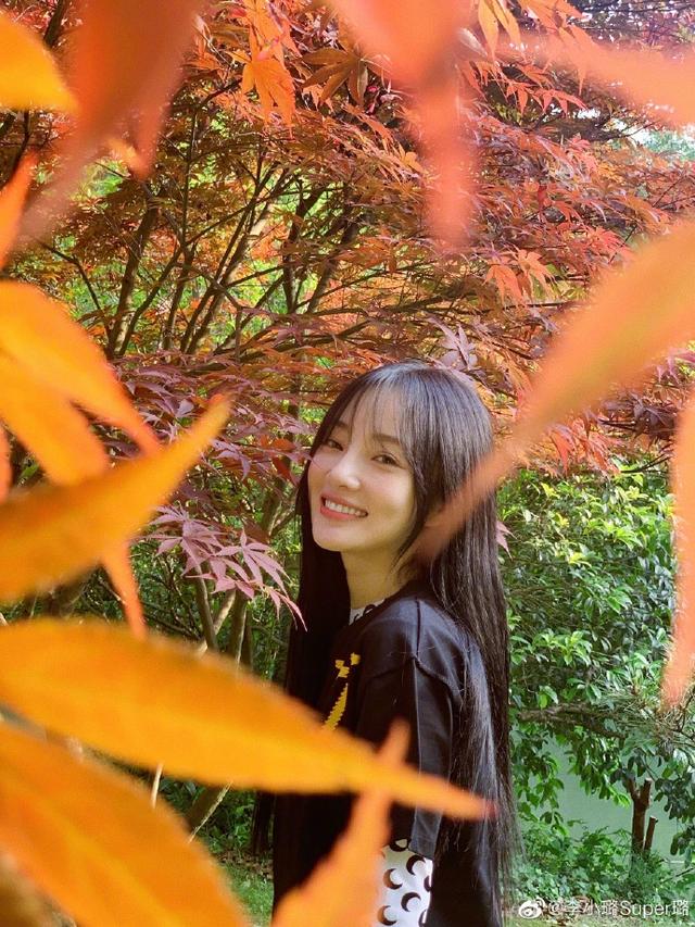 张馨予网购被骗,张馨予找代购被骗新闻