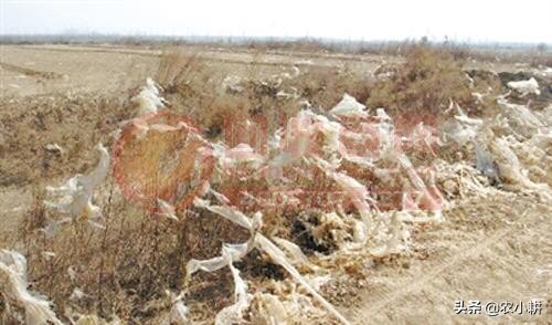 农膜污染整治视频,废旧地膜污染