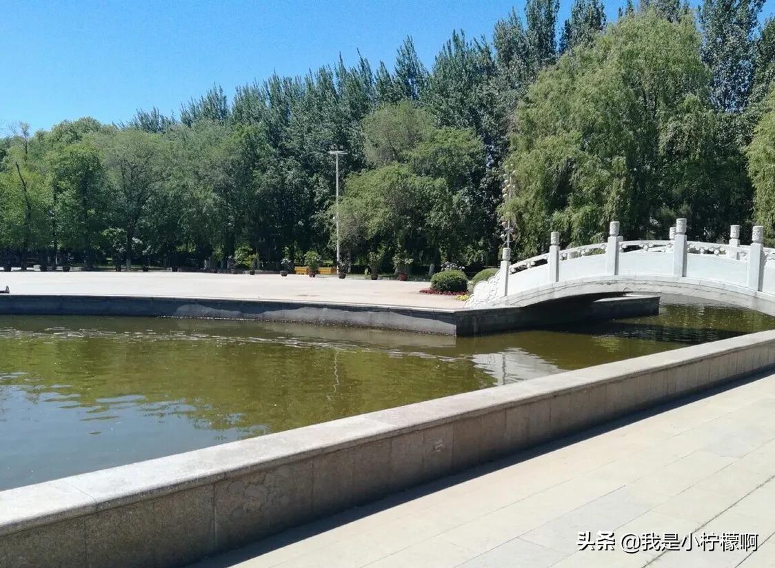 黑龙江农业工程职业学院中药,黑龙江农业工程职业学院院长