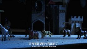 豆瓣9.1，看一次被萌一次，根本顶不住它们的可爱