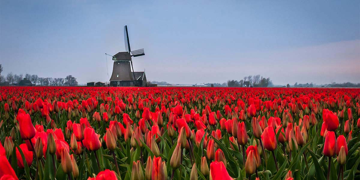 畅玩攻略青岛,如何办申根签证去欧洲旅行